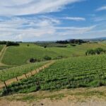 Private Wine Tour best of Chianti Tuscany 6 hours Limo Service - Frequently Asked Questions