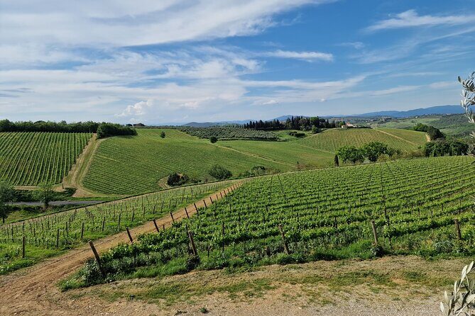 Private Wine Tour best of Chianti Tuscany 6 hours Limo Service - Frequently Asked Questions