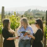 Private Wine Tour by Ansell Tours - Setting the Scene: What to Expect from This Tour