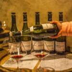 Private Wine Tour in Côte de Nuits and Côte de Beaune - Why This Tour Stands Out