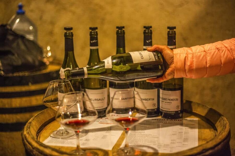 Private Wine Tour in Côte de Nuits and Côte de Beaune - Why This Tour Stands Out