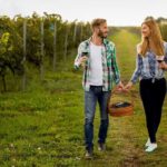 Private Wine Tour in Niagara-on-the-Lake w/ cheese & charcuterie - Final Thoughts: Is This Tour Right for You?