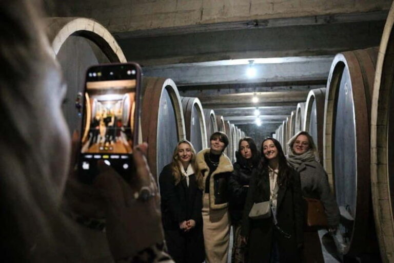 Private Wine Tour in Royal Region - First Stop: Despotika Winery