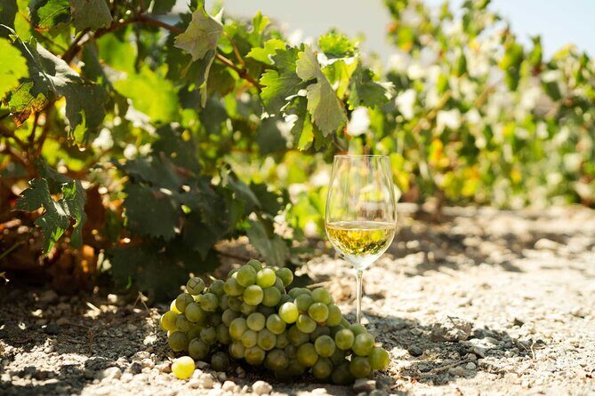 Private Wine Tour in Santorini - Who Is This Tour Best For?
