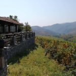 Private Wine Tour of Chateau Sopot Winery from Skopje - Practical Details and Tips