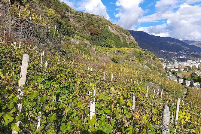 Private Wine Tour: Terraced Vineyards with Alpine view from Milan - Is This Tour Worth the Price?