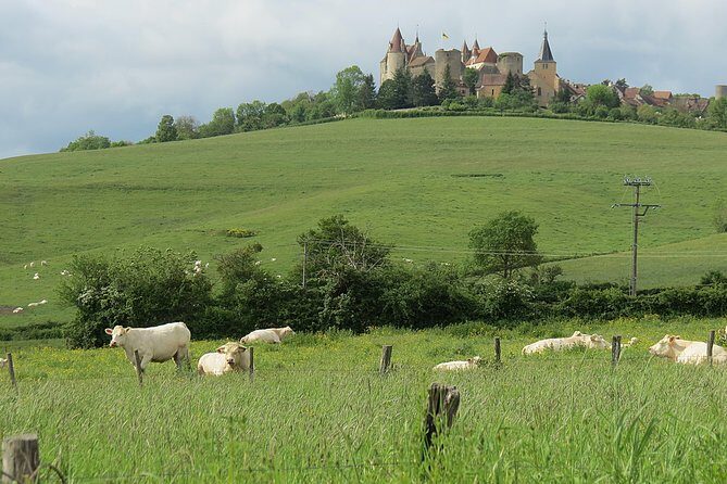 Private Wine Tour to Burgundy Region from Paris - Who Should Consider This Tour?