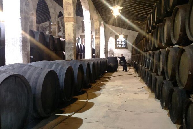 Private wine tour to Jerez de la Frontera - Authentic Feedback from Travelers
