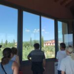 Private wine tour with sommelier - the magical Bolgheri (2 wineries) - Is the Price Worth It?