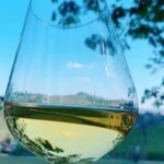 Private Wine Tour with The Whites of Langa Tasting - An In-Depth Look at the Experience