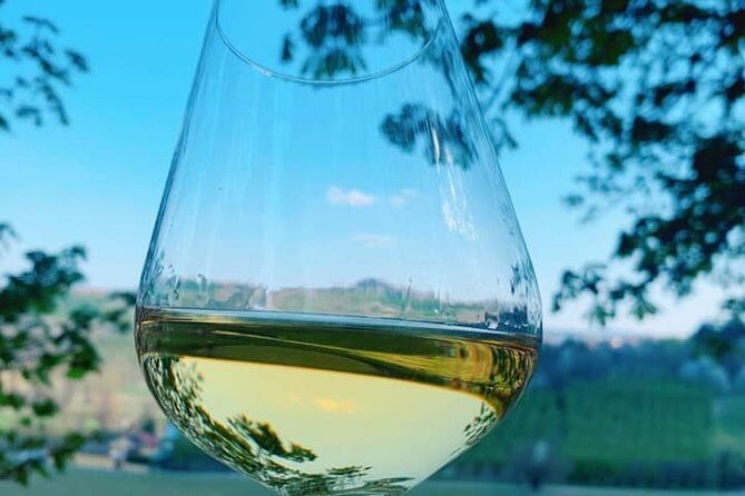 Private Wine Tour with The Whites of Langa Tasting - An In-Depth Look at the Experience