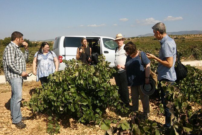 Private Wine Tour with Wine Tasting and Full Lunch (day trip) - Why This Tour Offers Excellent Value
