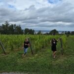 Private Wine Tours from Halifax - Final Thoughts