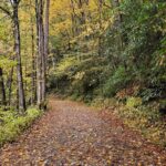 Privately Guided Full Day Hike - Who Should Book This Tour?