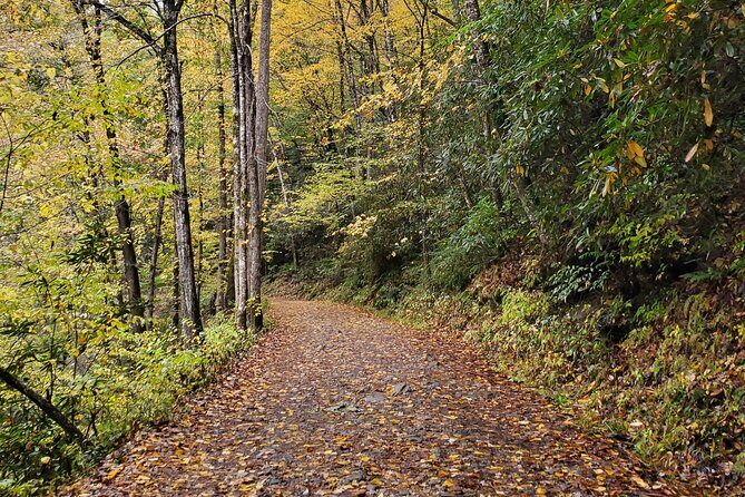 Privately Guided Full Day Hike - Who Should Book This Tour?