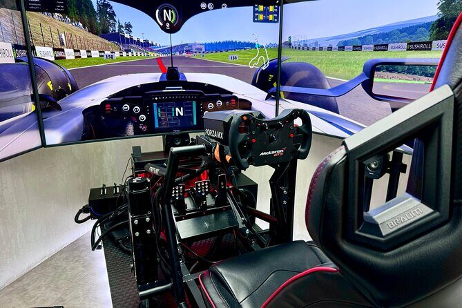 Professional racing simulator - Group Size and Accessibility