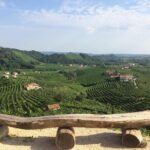Prosecco - Wine tour & tasting - Full day in the Prosecco region - What’s Included & What’s Not