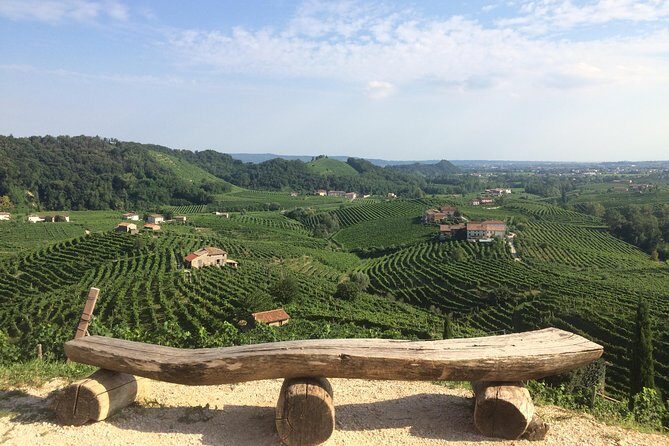 Prosecco - Wine tour & tasting - Full day in the Prosecco region - What’s Included & What’s Not