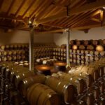 Prosecco Winery Tasting with Food Pairing near Venice - Is It Worth It?