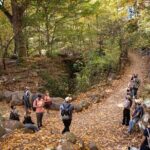 Prospect Park Tour - A Walk Through Brooklyn’s Green Heart