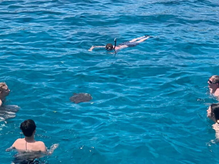 Protaras: Harmony | Luxury boat, Value Turtle Adventure - Who Is This Tour Best For?