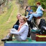 Provence Olive Harvest - Pricing and Value