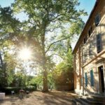 provence wine tasting - Who Is This Tour Perfect For?