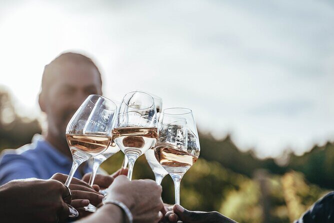 Provence Wine Tour - Private Day Tour from Antibes - What’s Included and What to Consider