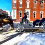 Public Group Historical Carriage Tour of Galveston - Who Will Love This Tour?