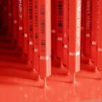 Public guided tour: Production of "wood-cased pencils" - Who Will Enjoy This Tour?