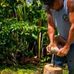 Pueo Farm Tour (1.5 hr) Upcountry Kula Maui Hawaii - The Experience through the Lens of Reviewers