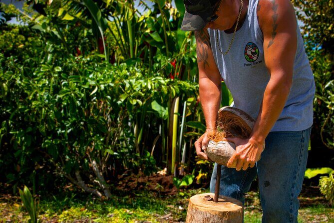 Pueo Farm Tour (1.5 hr) Upcountry Kula Maui Hawaii - The Experience through the Lens of Reviewers