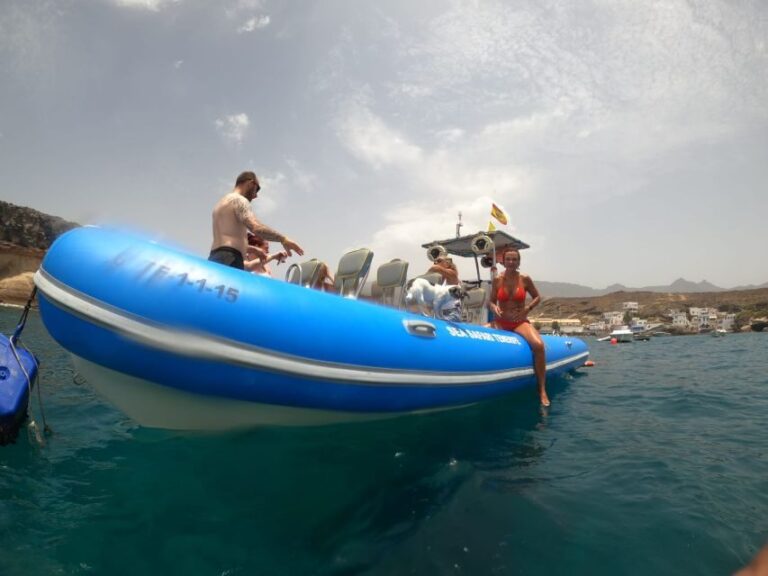 Puerto Colon: Dolphin and Whale Watching Speedboat Cruise - The Experiences Practicalities