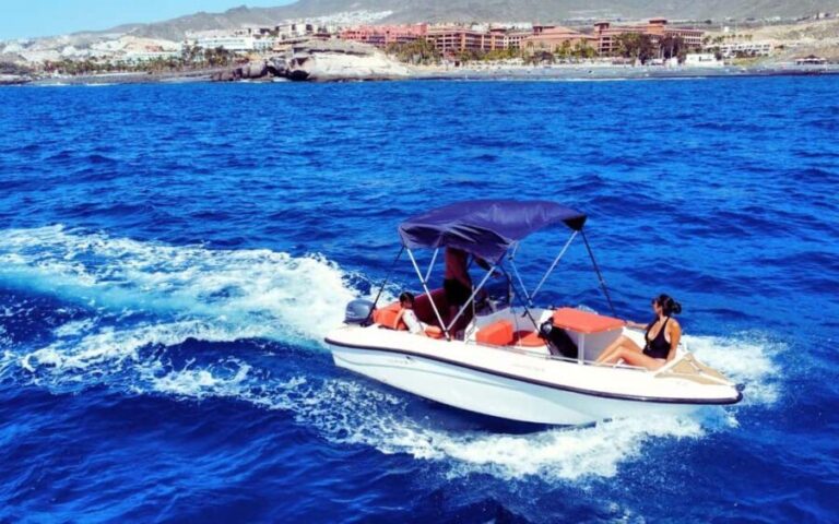Puerto Colon: La Nina Boat self drive, No licence Tenerife - Who Should Consider This Tour?