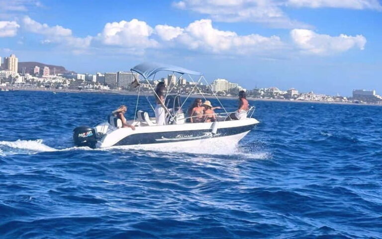 Puerto Colon: License-Free Self-Drive Boat in Tenerife - What to Expect During Your Day on the Water