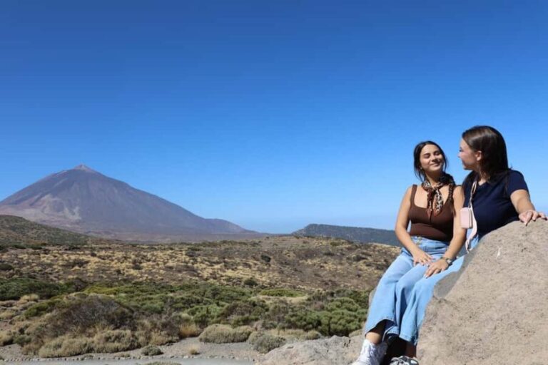 Puerto de la Cruz: Quad Teide National Park - Who Would Love This Tour?