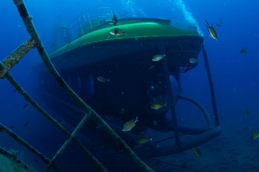 Puerto de Mogán: Submarine Tour - The Deep Dive: What You Can Expect
