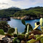 Puerto de San Miguel: Can Marçá Cave Guided Tour with Entry - The Experience Itself — What to Expect