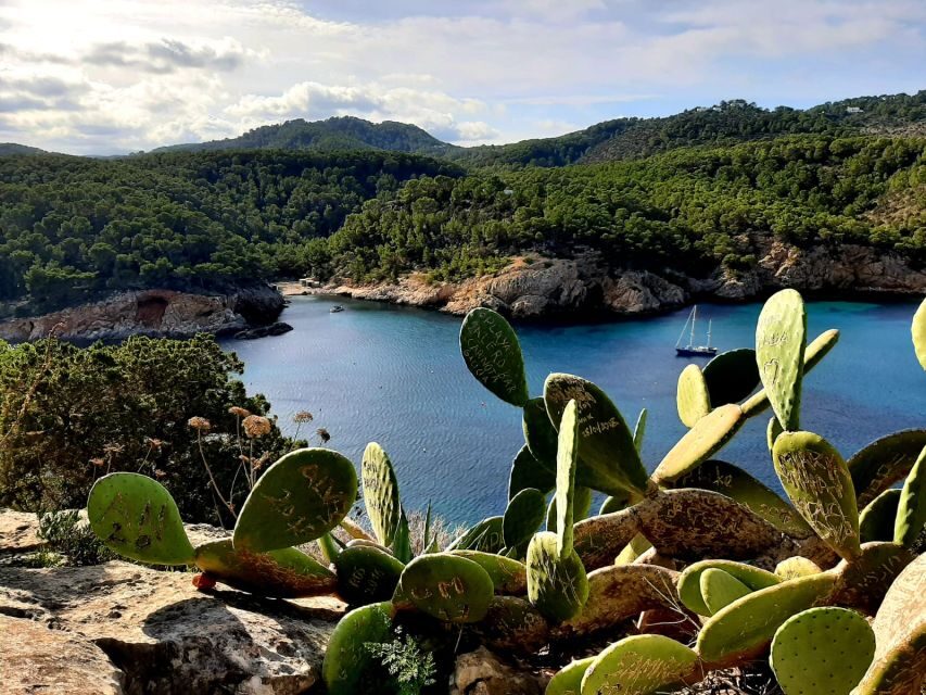 Puerto de San Miguel: Can Marçá Cave Guided Tour with Entry - The Experience Itself — What to Expect