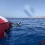 Puerto del Carmen: Freediving Try Dive in Pool or Open Water - What Is This Freediving Experience All About?