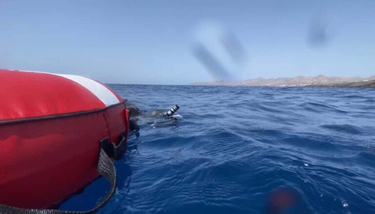 Puerto del Carmen: Freediving Try Dive in Pool or Open Water - What Is This Freediving Experience All About?