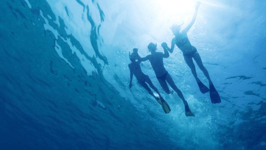 Puerto del Carmen: Snokel tour with an instructor - What the Tour Looks Like