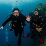 Puerto del Carmen: Try Scuba Diving  1 Dive for Beginners - Evaluating the Cost and Value