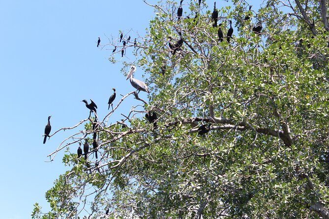 Puerto Escondido: Manialtepec Lagoon by Kayak - Final Thoughts