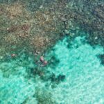 Puerto Morelos Catamaran Reef Sail and Snorkel - Considerations and Downsides