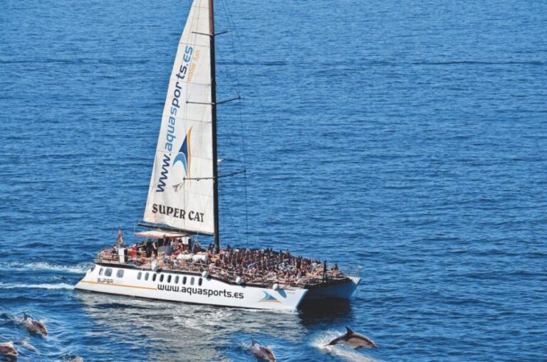 Puerto Rico : 2 hour Dolphin Catamaran Excursion - The Logistics and Organization