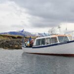 Puffin Cruise with Expert Tour Guide from Reykjavik - What Are the Downsides?