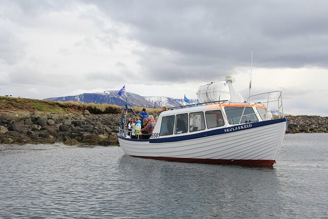 Puffin Cruise with Expert Tour Guide from Reykjavik - What Are the Downsides?