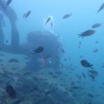 Pula Discover Scuba Diving Package - The Pros: Why This Tour Stands Out