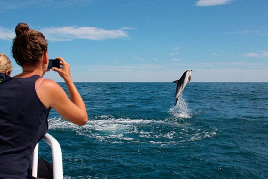 Pula: Dolphins Watching & Wildlife Cruise with all inclusive - Detailed Breakdown of the Itinerary